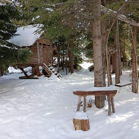 "Моето Любимо Място", Смолянски Езера - "My Favorite Place", Smolyan Lakes Ngoại thất bức ảnh