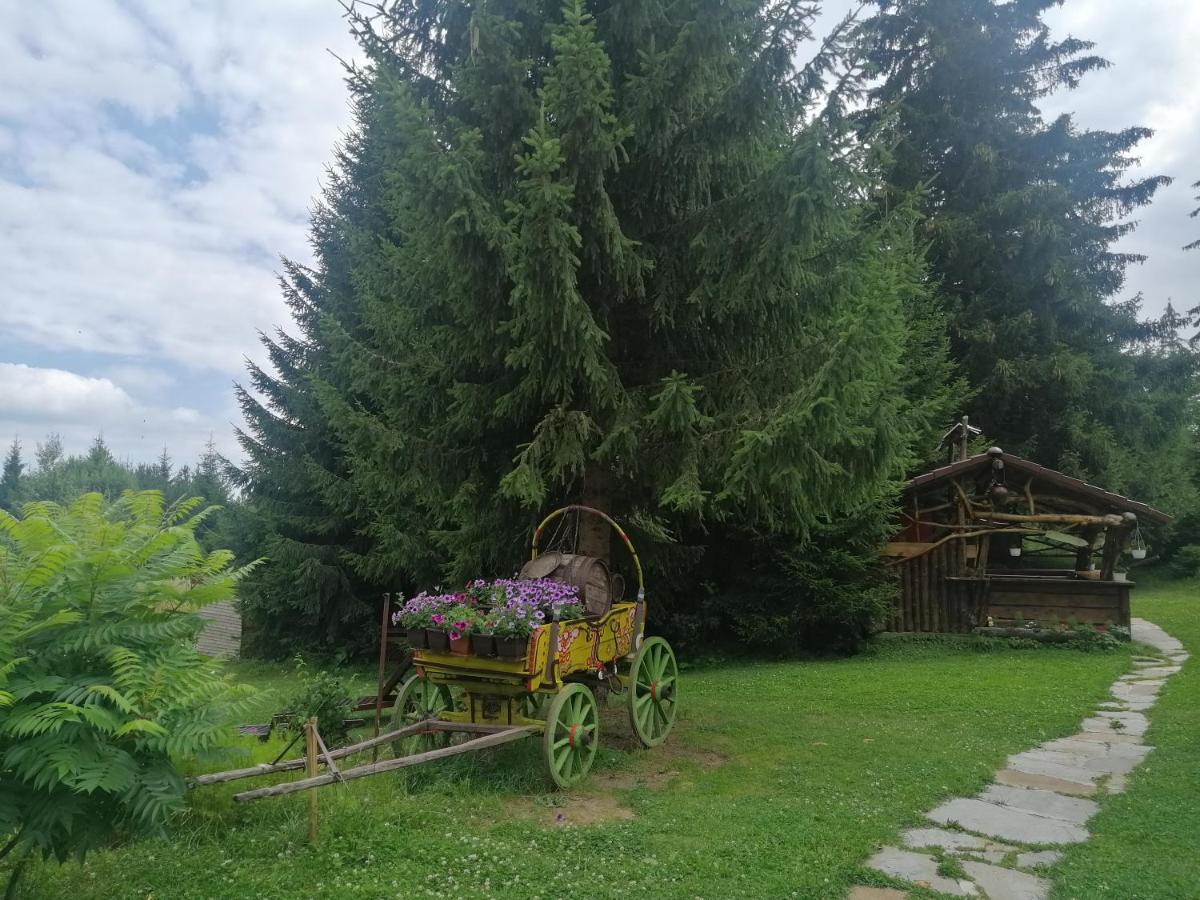 "Моето Любимо Място", Смолянски Езера - "My Favorite Place", Smolyan Lakes Ngoại thất bức ảnh